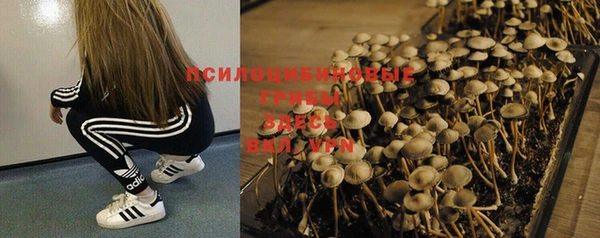хмурый Балахна